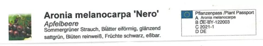 Apfelbeere