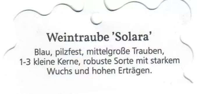 Plantet