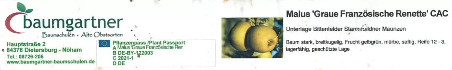 Graue Französische Renette