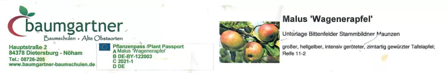 Wagenerapfel