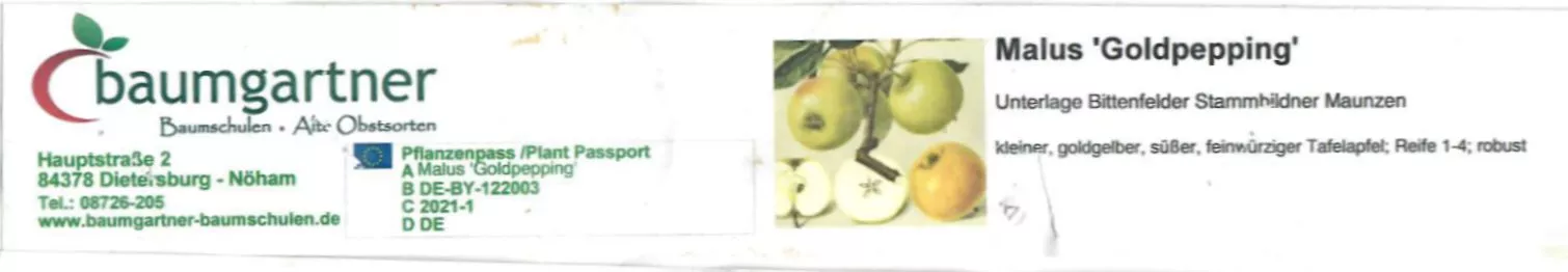 Deutscher Goldpepping