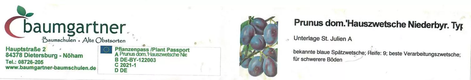 Hauszwetsche Niederbayerischer Typ