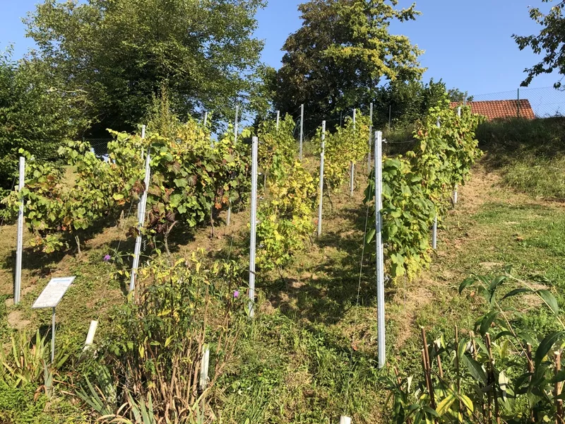 Kreislehrgarten Herbst